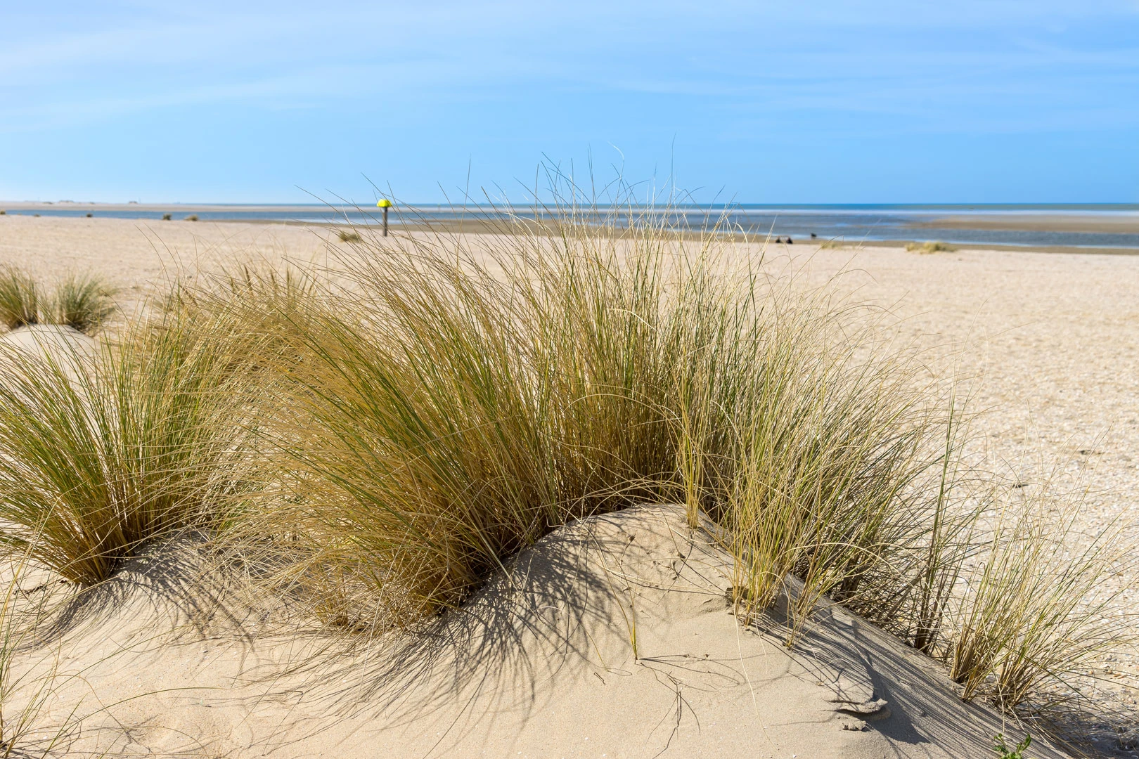 frankrijk-regio-vendee